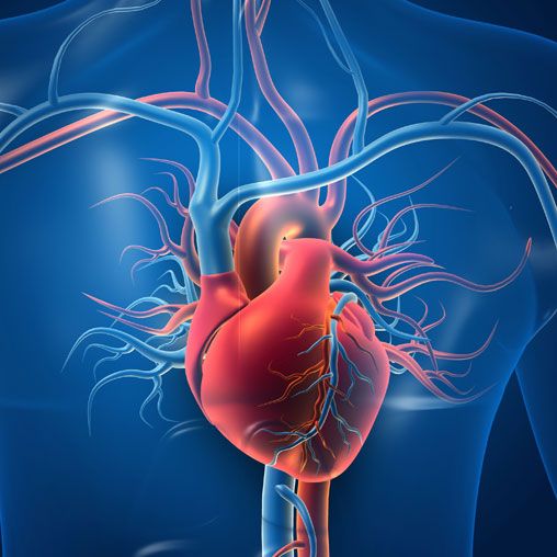 tile hemodynamic evaluation