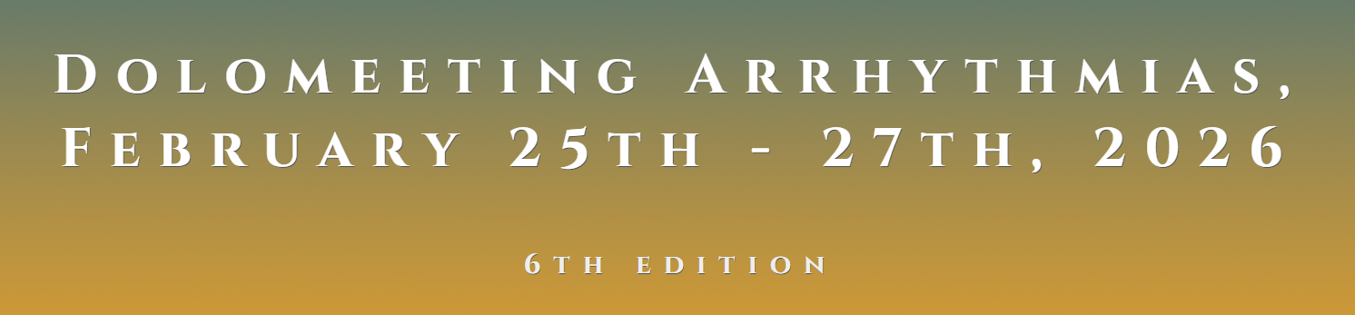 picture_Dolomeeting banner